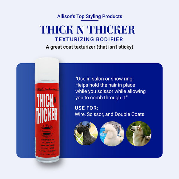 Chris Christensen Thick N Thicker Texturizing Bodifier – Showgroom