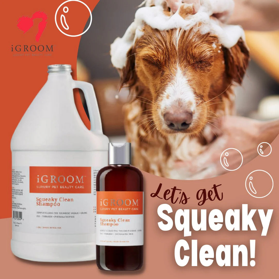 iGroom Squeaky Clean Shampoo