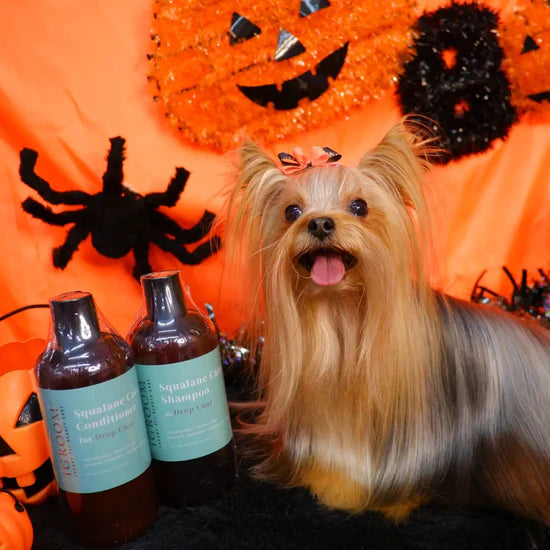 iGroom Squalane Care Shampoo