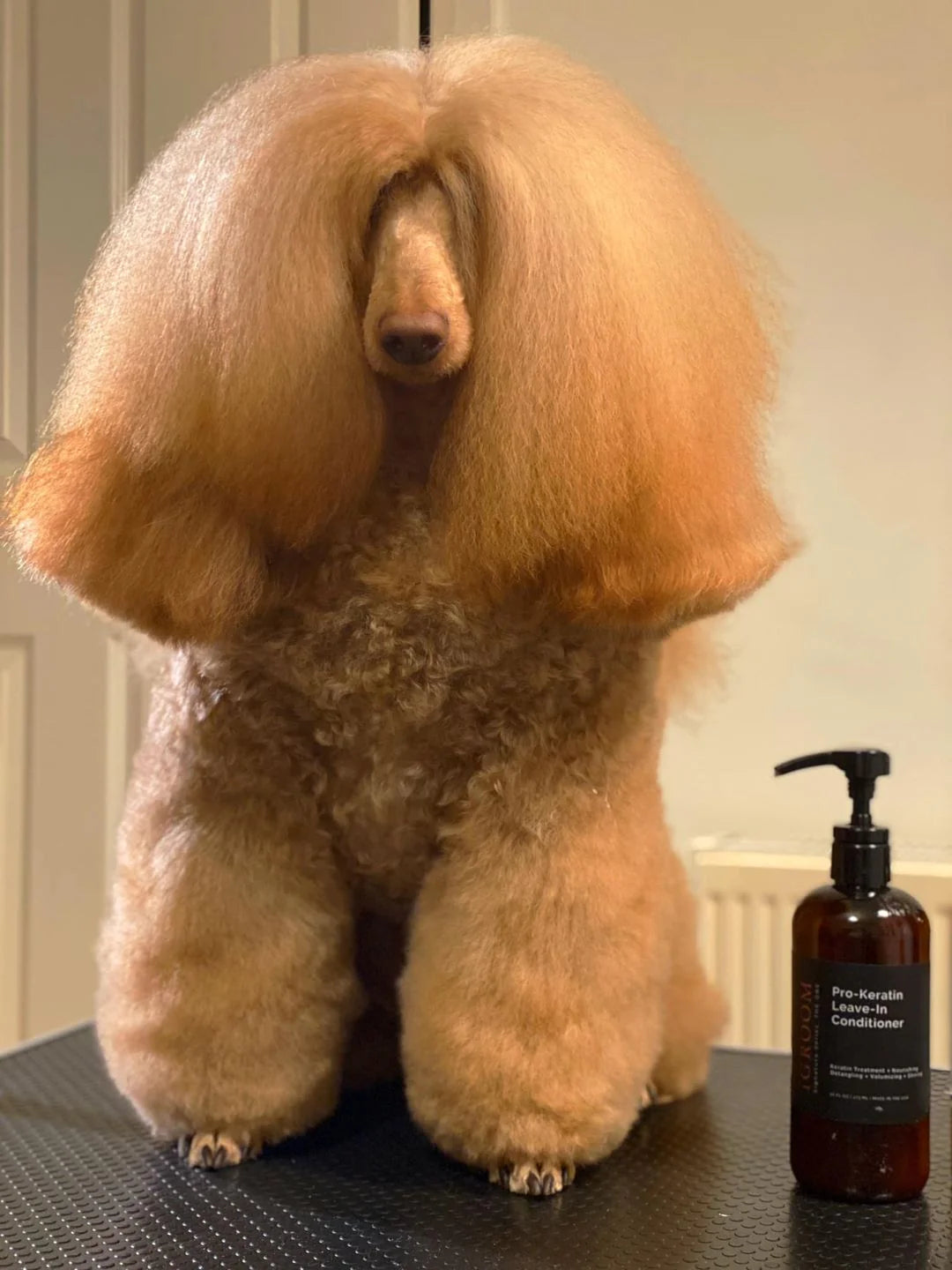 iGroom Pro-Keratin Leave-In Conditioner