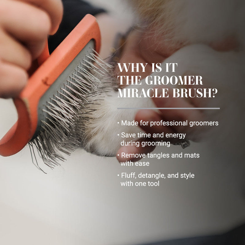 Chris Christensen Big G Slicker Brushes