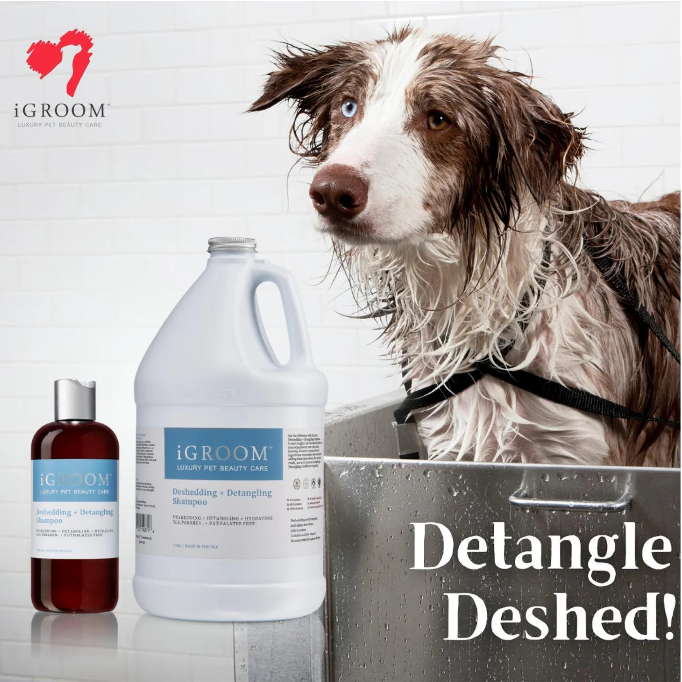 IGroom Deshedding + Detangling Shampoo