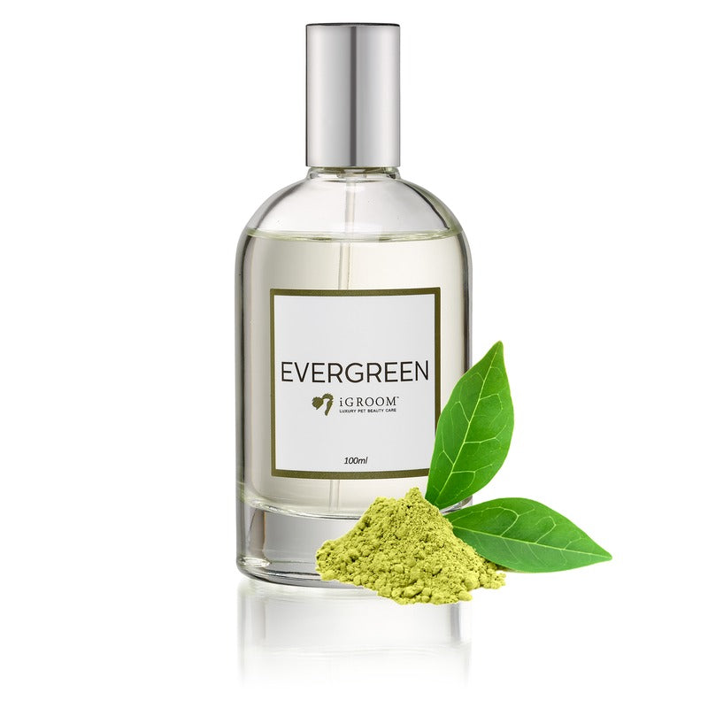 iGroom Perfume- Evergreen