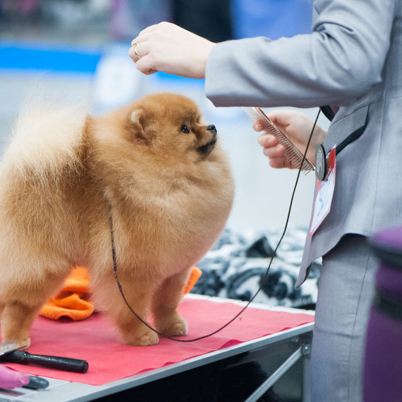 Chris Christensen 7.5" Fine/Coarse Buttercomb