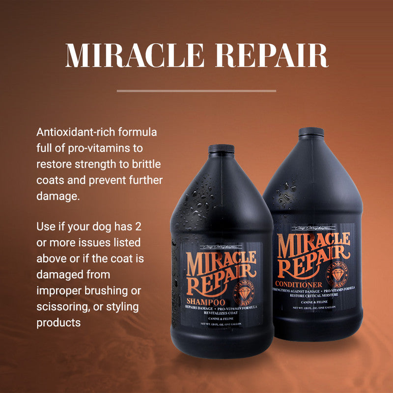 Chris Christensen Miracle Repair Shampoo