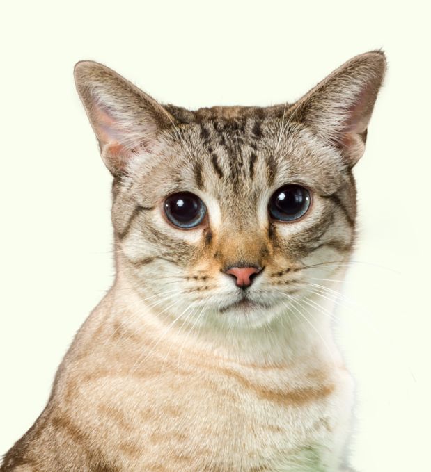 _img_banner_