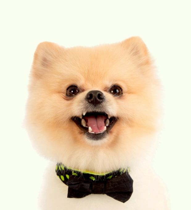_img_banner_