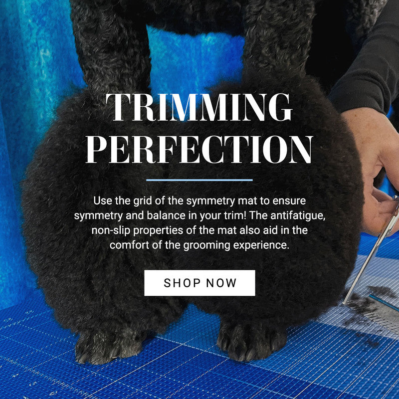 Chris Christensen Safe-T Grid Symmetry Mat