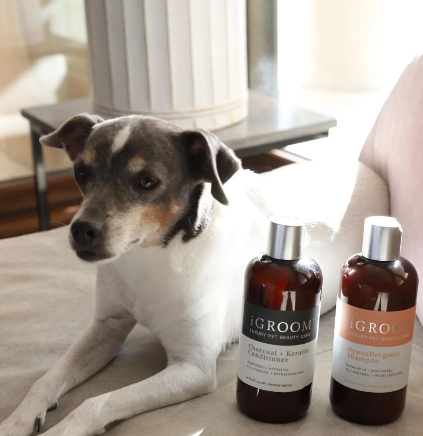 iGroom Hypoallergic Shampoo