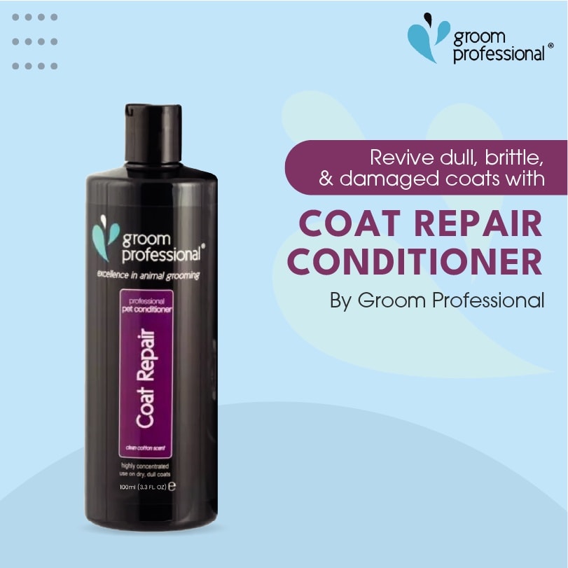 Groom Professional Coat Repair Conditioner