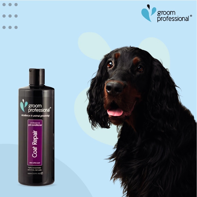 Groom Professional Coat Repair Conditioner