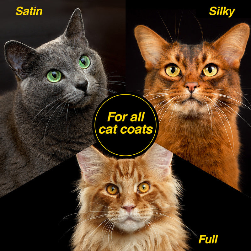 Chris Christensen Top Cat Pre-Bath Degreaser